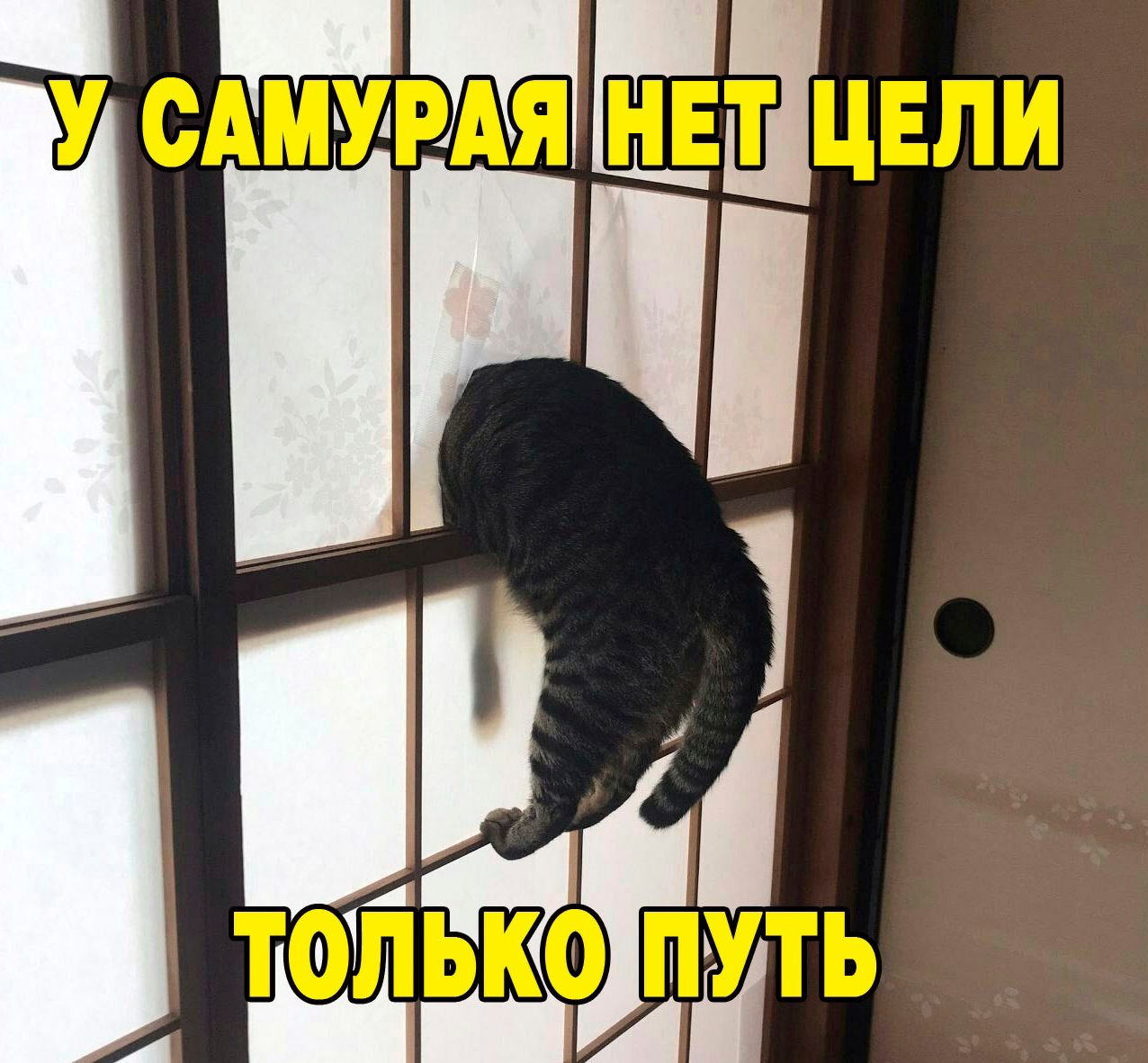 Самурай мем